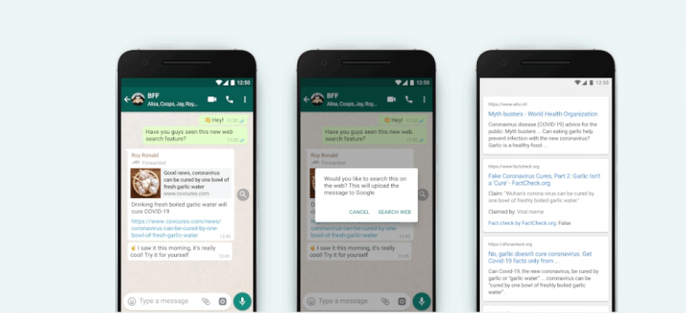 WhatsApp new feature Search The Web