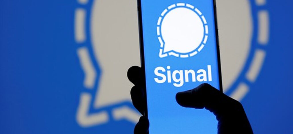 Signal App Whatsapp alternative went down - Mortaltech