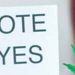 Missouri Amendment 3 Marijuana Supported by Voters