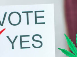 Missouri Amendment 3 Marijuana Supported by Voters