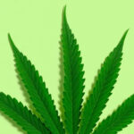 Missouri Amendment 3 When may you purchase marijuana mortaltech