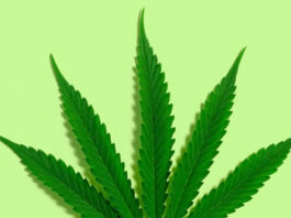Missouri Amendment 3 When may you purchase marijuana mortaltech