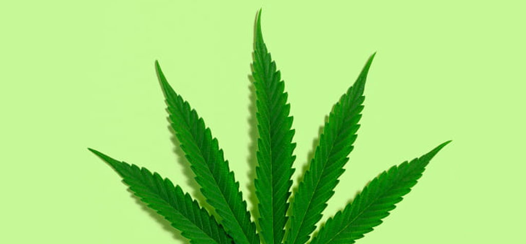 Missouri Amendment 3 When may you purchase marijuana mortaltech