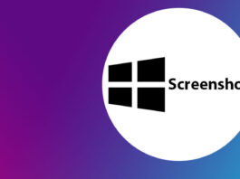 Screenshot Shortcut: How to Take Screenshot on Windows