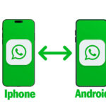 How to transfer WhatsApp Data from IPhone to Android - Mortaltech